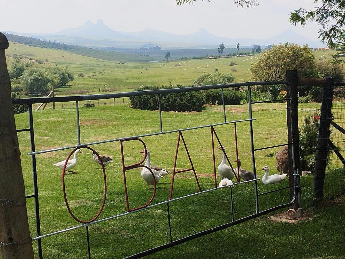 Van Reenen Oban Historical Guest Farmヴィラ エクステリア 写真